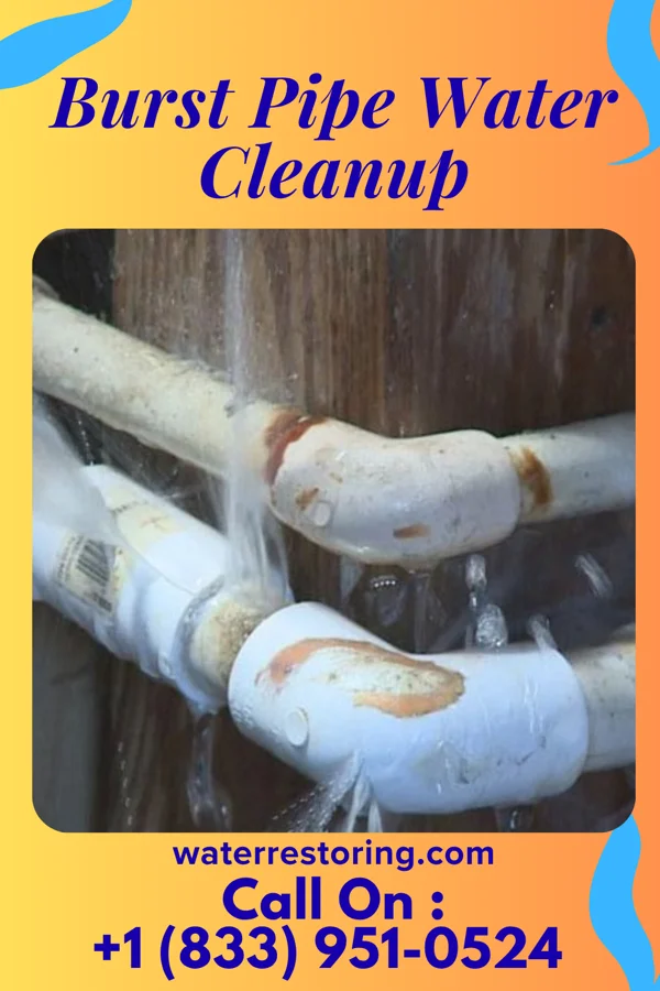 Burst Pipe Water Cleanup in New Roads, LA