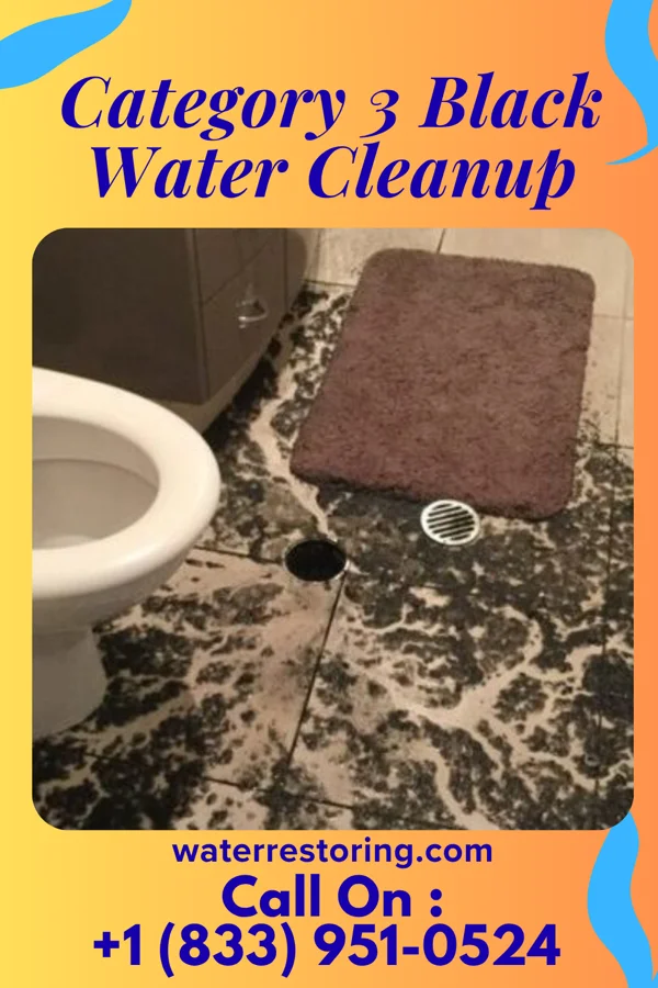 Category 3 Black Water Cleanup in New Roads, LA