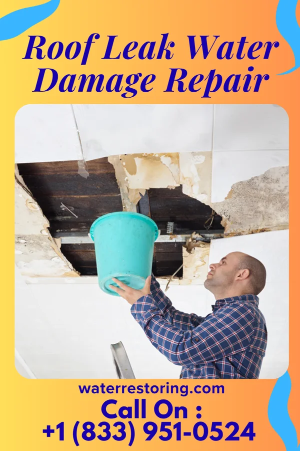 Roof Leak Water Damage Repair in New Roads, LA